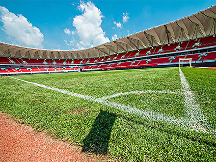 ​洗衣液去重油污渍原料-微乳化酶制剂